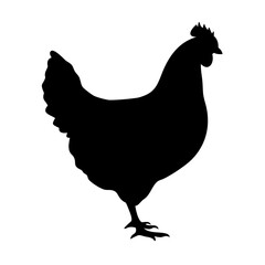 chicken hen icon, chicken hen silhouette vector illustration-simple silhouette illustration of chicken hen, perfect for chicken hen logos and icons