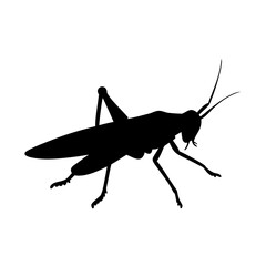 grasshopper icon, grasshopper silhouette vector illustration-simple silhouette illustration of grasshopper, perfect for grasshopper logos and icons