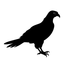 falcon icon, falcon silhouette vector illustration-simple silhouette illustration of falcon, perfect for falcon logos and icons