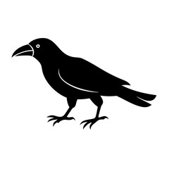 crow icon, crow silhouette vector illustration-simple silhouette illustration of crow, perfect for crow logos and icons