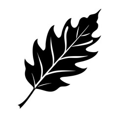 Black oak leaf vector illustration autumn foliage design botanical nature element silhouette drawing graphic art