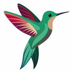 hummingbird 