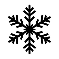Discover the beauty of a snowflake winter season christmas snow ice crystal frost design vector graphic