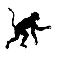 Monkey silhouette vector art drawing illustration animal primate wildlife jungle ape mammal design zoo © PURE VECTOR WORK