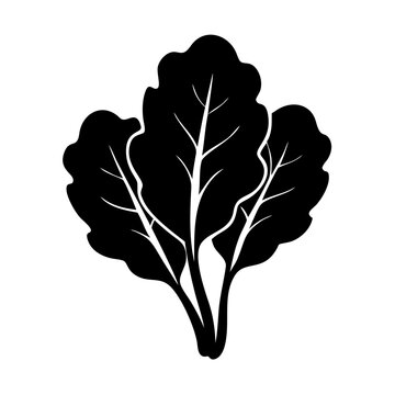 black spinach leaves on white background clip art preview