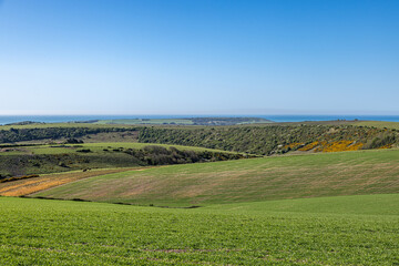 A view over the rolling hills in the South Downs, with the Sussex coast beyond