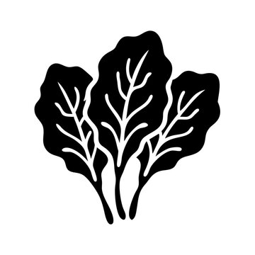black spinach leaves graphic clip art preview