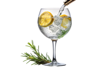 Refreshing Gin and Tonic Cocktail with Lemon Slices and Aromatic Rosemary