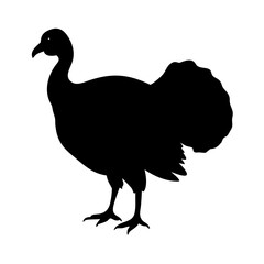 Turkey silhouette thanksgiving bird fowl poultry holiday animal farm vector illustration art design graphic