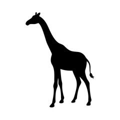 Giraffe silhouette vector illustration african animal wildlife safari zoo mammal tall neck design art