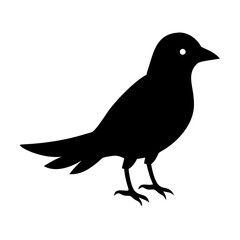 Black bird silhouette vector illustration, raven graphic, crow image, bird symbol, animal art, nature icon