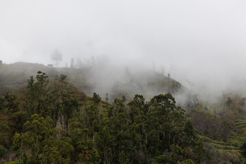 In the Embrace of Fog – Madeira’s Mountains at Dawn