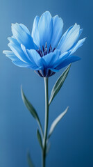 Vibrant Blue Flower With Delicate Petals And Green Stem Against A Uniform Blue Background