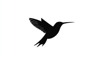 Fototapeta premium Black Hummingbird Silhouette on White