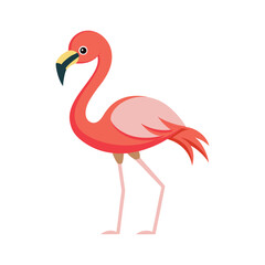 Fototapeta premium flamingo vector illustration