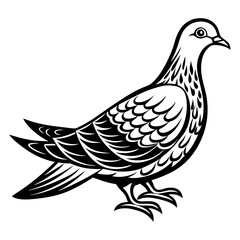 Download Dove Vector Art And Illustration  Eps File For Design.