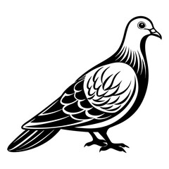 Download Dove Vector Art And Illustration  Eps File For Design.