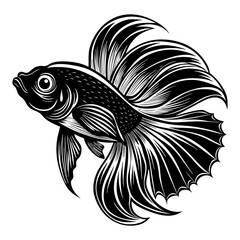 Download Betta Fish Vector Art And Illustration Eps File For Design.