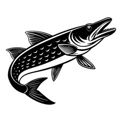 Download Pike Fish And  Silhouette Vector Illustration Eps File For Design.