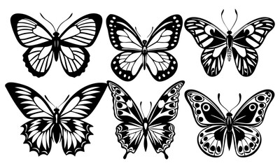 Download Different Butterflies Set Vector Illustration Eps File For Design.