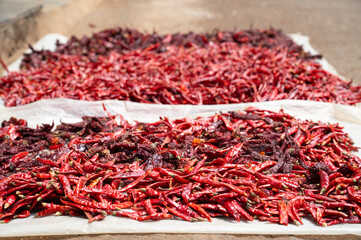 Drying red chilli pepper spices on a spice market in Mumbai, India, fresh ingredients for cooking indian food