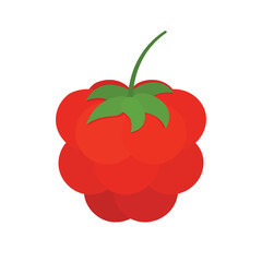 Fresh Raspberry with Leaves Icon clipart vector illustration in cartoon animation fruit and vegetable