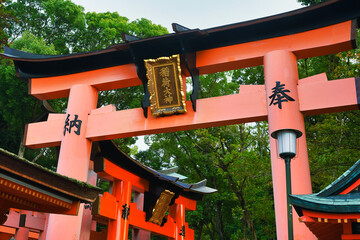 京都 伏見稲荷大社　美しい朱色の鳥居 （日本京都府京都市）Kyoto Fushimi...