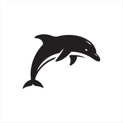 Fototapeta premium dolphin isolated on white background