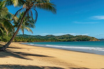 A beautiful tropical beach featuring palm trees and the ocean