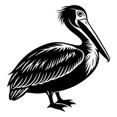 Download American Pelican Silhouette  Vector Illustration White Background Svg File For Design.