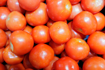 みずみずしい赤いトマト