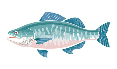 Vector Illustration of Pangasius Fish