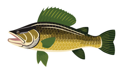 Snakehead Fish Fresh Water - Vector Illustration