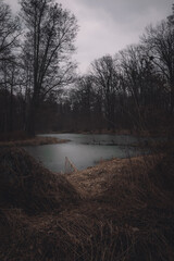 A haunting landscape of bare trees surrounding a still, dark body of water. The atmosphere is moody...
