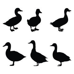Duck Silhouette Vector Set - Minimalist Black Bird Illustrations.