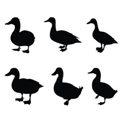 Duck Silhouette Vector Set - Minimalist Black Bird Illustrations.