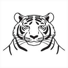 South China Tiger – Critically Endangered Majestic Feline