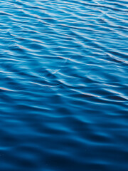 A serene view of the deep blue ocean, captured with a focus on its gentle, rippling surface. The interplay of light and shadow across the water creates a mesmerizing visual experience. 