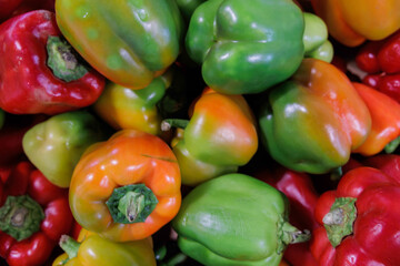 画面いっぱいのカラフルなパプリカ