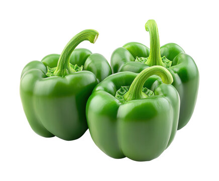 Harvesting fresh green bell peppers local farm food isolated on transparent background