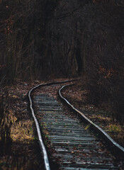 An old, abandoned railroad track curves into the darkness of a forest, creating a mysterious and evocative scene