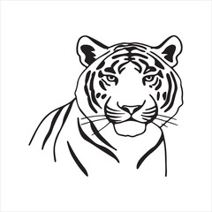 Sumatran Tiger – Endangered Striped Predator of the Rainforest