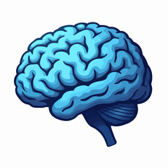 Anatomical Blue Brain Illustration on White