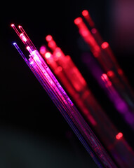 Glowing Fibers: Abstract macro shot reveals vibrant fiber optics illuminated with red and purple hues. Capturing the beauty of technology and light, perfect for visualizing concepts.