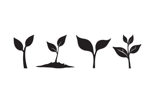 Plant Growth Icon Set Seedling to Sprout Silhouettes for Eco, Farm, and Nature Design