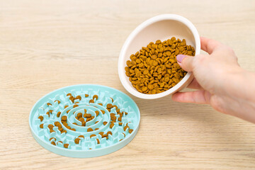 a breeder pours cat food into a slow feeding bowl. slow feed bowl. eating disorder in cats....