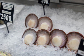 氷の上に並べられた貝殻付きのホタテ