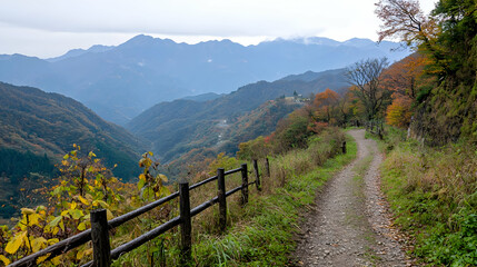 Fototapeta premium Autumn Foliage Mountain Valley Path With Wooden Fence