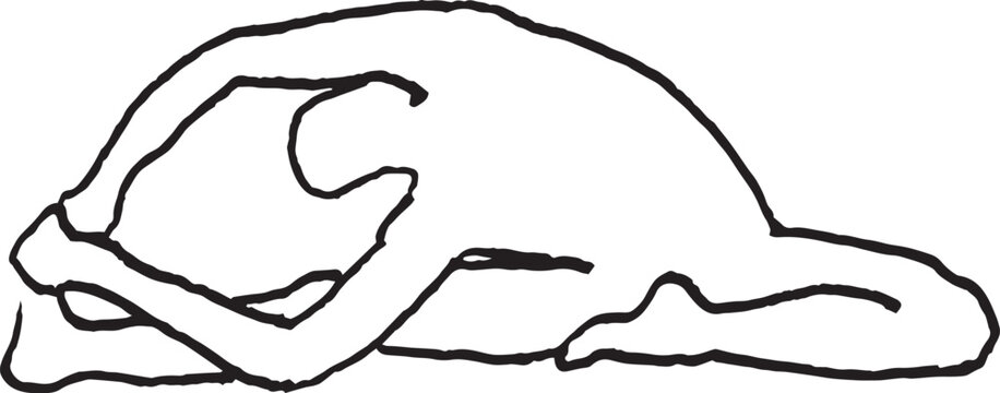 yoga-pose-Revolved Head-to-Knee,Parivrtta Janu Sirsasana-illustration