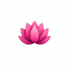 Pink lotus flower on white background